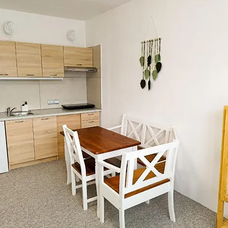 Vivi Apartments-2,5 Km Od Tatralandia Liptovský Mikuláš