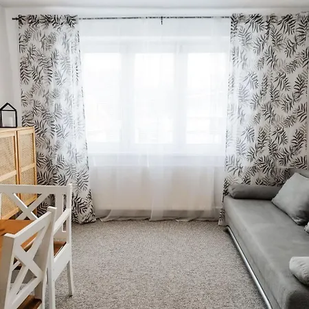 Vivi Apartment