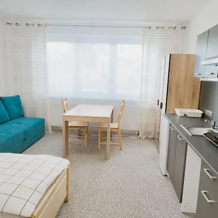 Vivi Apartments-2,5 Km Od Tatralandia * Liptovský Mikuláš