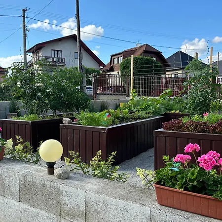 Vivi Apartments-2,5 Km Od Tatralandia * Liptovský Mikuláš